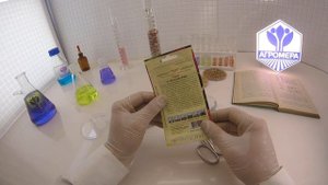 Томат Розмарин. Гавриш