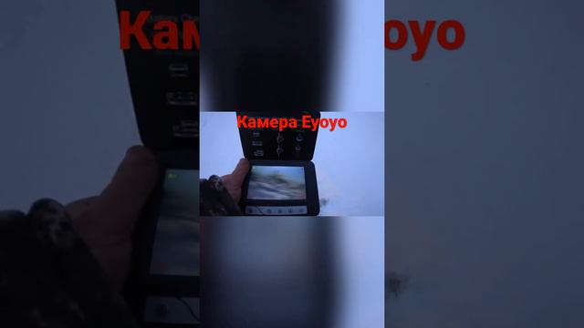 Подводная камера Eyoyo в деле!