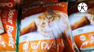 Латвия. Сколько стоит коту под хвост?