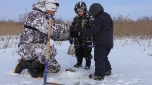 ЭТУ РЫБАЛКУ СЫН ЗАПОМНИТ НА ДОЛГО!!! СРАБОТАЛИ ВСЕ ЖЕРЛИЦЫ СРАЗУ!!! РЫБАЛКА НА ЖЕРЛИЦЫ / MAX HANTER
