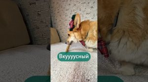 Когда спёр блинчик и хаваешь быстро, пока не спалили