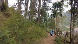 ШРИ-ЛАНКА 2023: ЭЛЛА: САМАЯ КРУТАЯ ЭКСКУРСИЯ