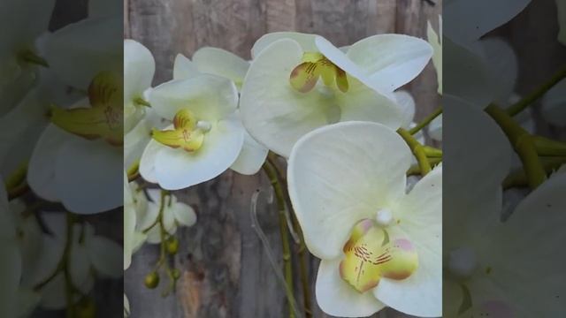 Фаленопсис и мхи1. Композиция из искусственных цветов смотреть онлайн