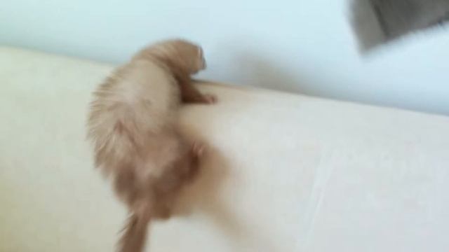 Зоя смотреть онлайн