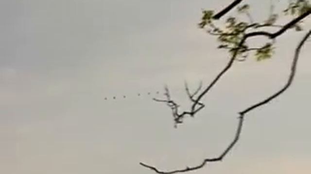 В Рязанской области изменились сроки весенней охоты смотреть онлайн