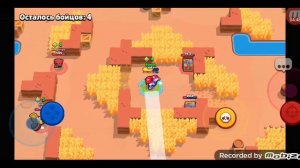 играю в бравл старс