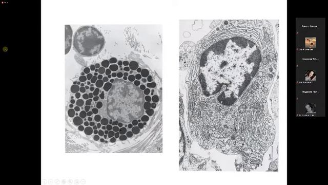 Консультация ко 2 коллоквиуму - Князева Л.А. смотреть онлайн