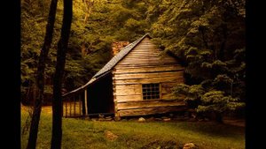 Таураге  История  (Литва)