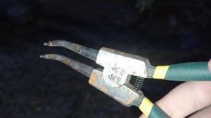 Как одеть фазанам очки ? Как одеть очки птице ?