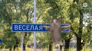 Шни шна шнапи флексит в разных местах!