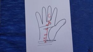 Датировка линии Судьбы. Хирология