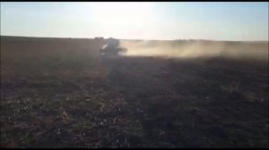 Посев озимой пшеницы по сафлору.