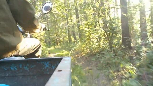 Электро #Муравей с мотором Дуюнова #DA90S. Поездка в #лес. #ASMR звук трансмиссии. смотреть онлайн