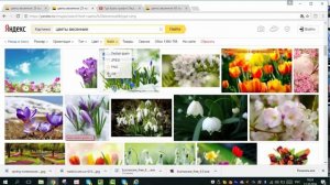 Как найти нужные картинки в поисковой системе Yandex - как найти картинки в яндексе