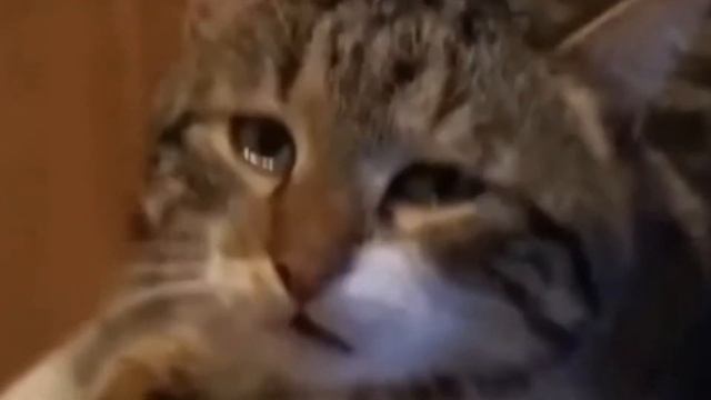 Minecraft - АКТУАЛЕН ЛИ?, без 100 ПРИЧИН почему Майнкрафт СТАЛ таким [2021] НАСТОЛЬГИЧЕСКОЕ ВИДЕО смотреть онлайн