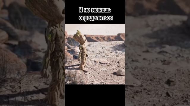 муки выбора))) #литыедиски #примерка