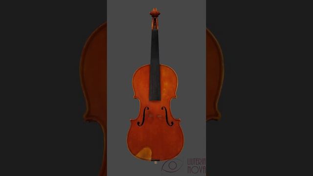 Violino Fagnola, 1906 3D Model