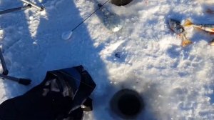 Рыбалка на оз Синеглазово 12 12 20