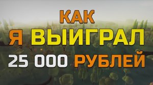 Как я выиграл 25 000 рублей Конкурс LizzzTv