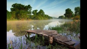 ВИА Радуга - Ивушка плакучая.