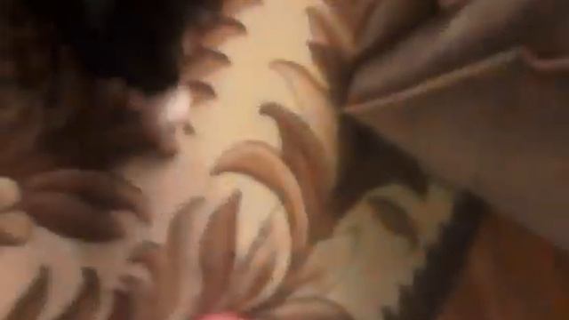 хочу чтобы котик мне изменённая версия песни булава Russian смотреть онлайн