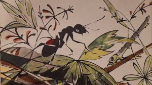 Муравей Красная Точка. Познавательная энциклопедия.