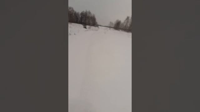 Снегоход Буран с двигателем ОКА 1113 смотреть онлайн