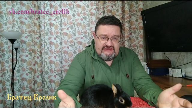 что такое карликовый кролик?