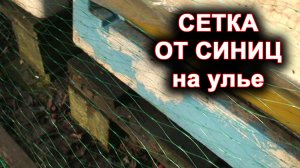 Сетка от синиц. Быстро, дёшево и эффективно.