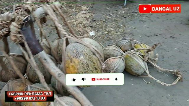 Турткул Ковун ТАРБУЗ НАРХЛАРИ ТЕЗ КОРИНГ смотреть онлайн