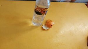 моющее средство своими руками  | ТОП 3 ЭКО средства