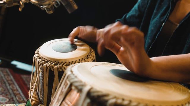 Sprig of That Plays Something In The Pond! | CodaBow смотреть онлайн