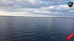 КАБАНЫ НА НАРВСКОМ ВОДОХРАНИЛИЩЕ
