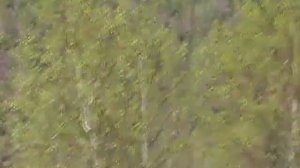 Петровск-Забайкальский.mp4