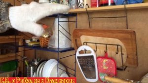 Что делать когда нет денег на постройку дома на участке, отличный вариант вагончик бытовка для жиль