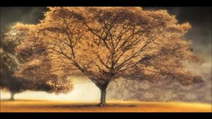 ARASH feat Helena  Broken Angel