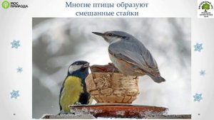 Лекция Что происходит в природе зимой