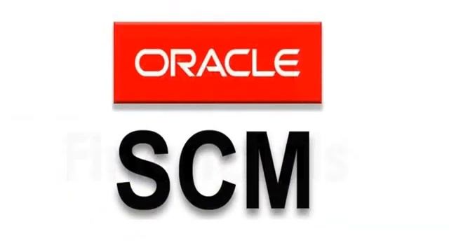 Training for Functional Oracle SCM R12 and Financials R12 Modules смотреть онлайн