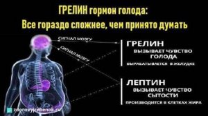 Грилин гормон