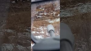 пристрелка Иж 53 м дистанция более 20 метров