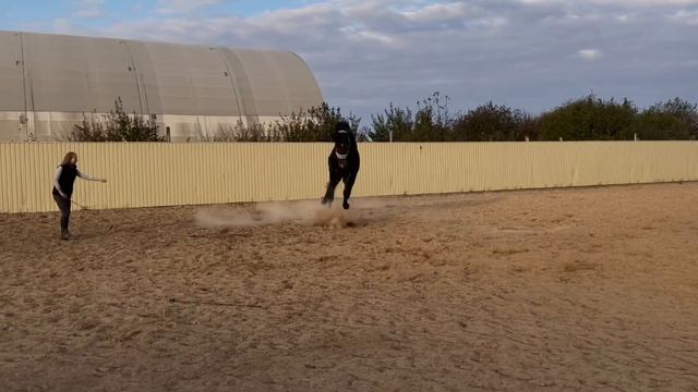 Playing with Bazalt смотреть онлайн