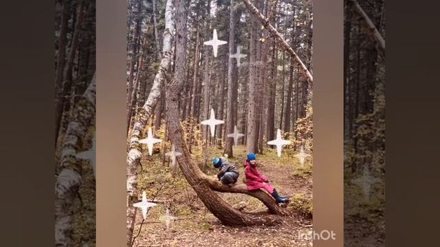 Якутский танцевальный ансамбль "Дьиэрэнкэй" смотреть онлайн