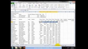 June 2011-Ms Excel Portion -IGCSE-ICT 0417