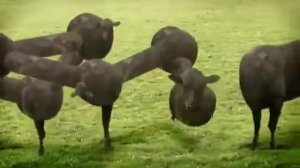 Тест на психику! Кто заржет тот псих!