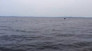 Солар 420 Стрела