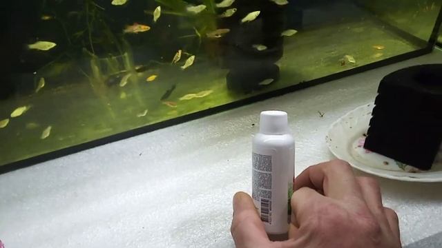 Аква-жизнь РАМАЗАНА:как я использую альгицыд CO2
