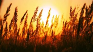 Иисус, Твоё имя выше...