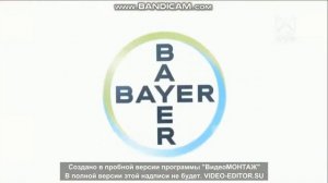 Bayer Заставка