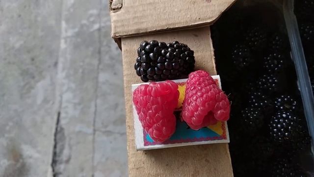 Вес малины. смотреть онлайн