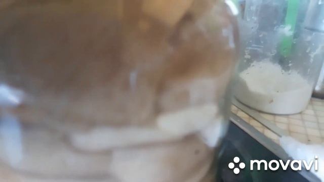 ЗАСОЛКА ГРУЗДЕЙ СУХИМ СПОСОБОМ. смотреть онлайн